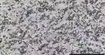 汕头 芙蓉白（芝麻白大花）火烧面