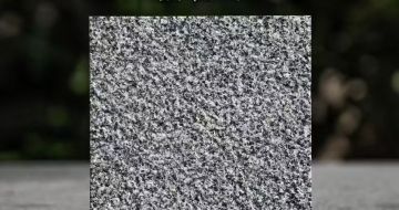 汕头 芝麻黑荔枝面