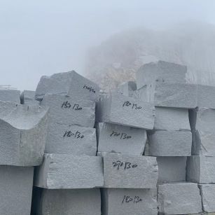 汕头芝麻白花岗石