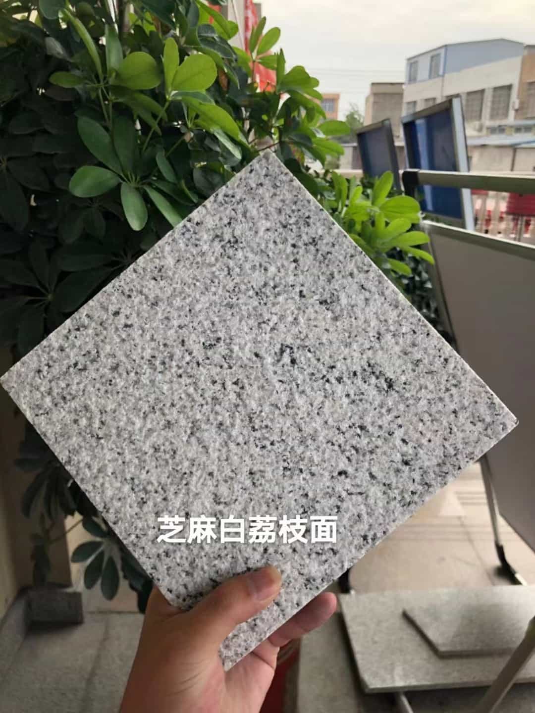 汕头 芝麻白荔枝面干挂