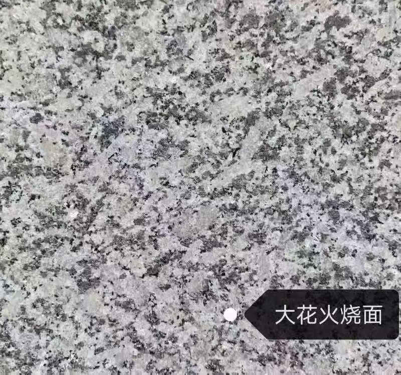 汕头 芙蓉白（芝麻白大花）火烧面