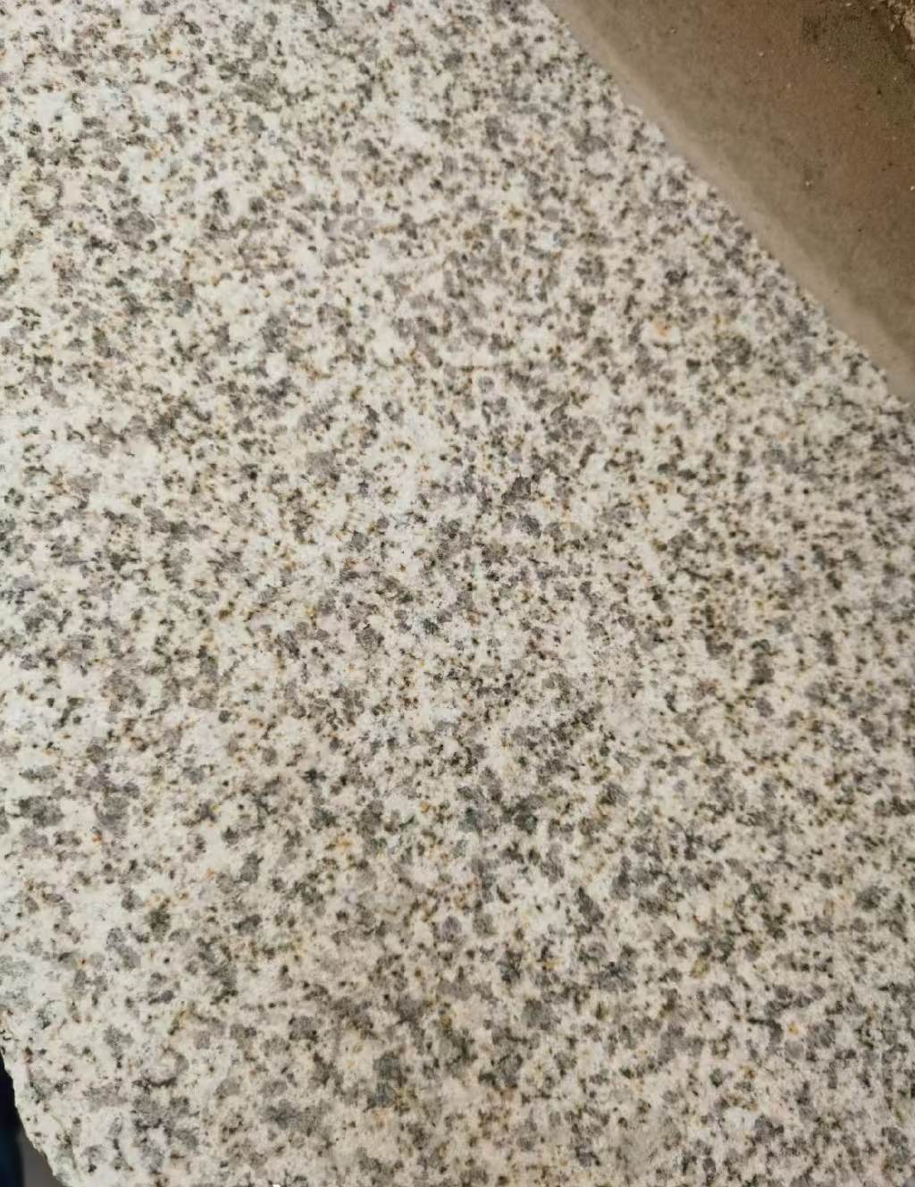 汕头 黄金麻中黄光面