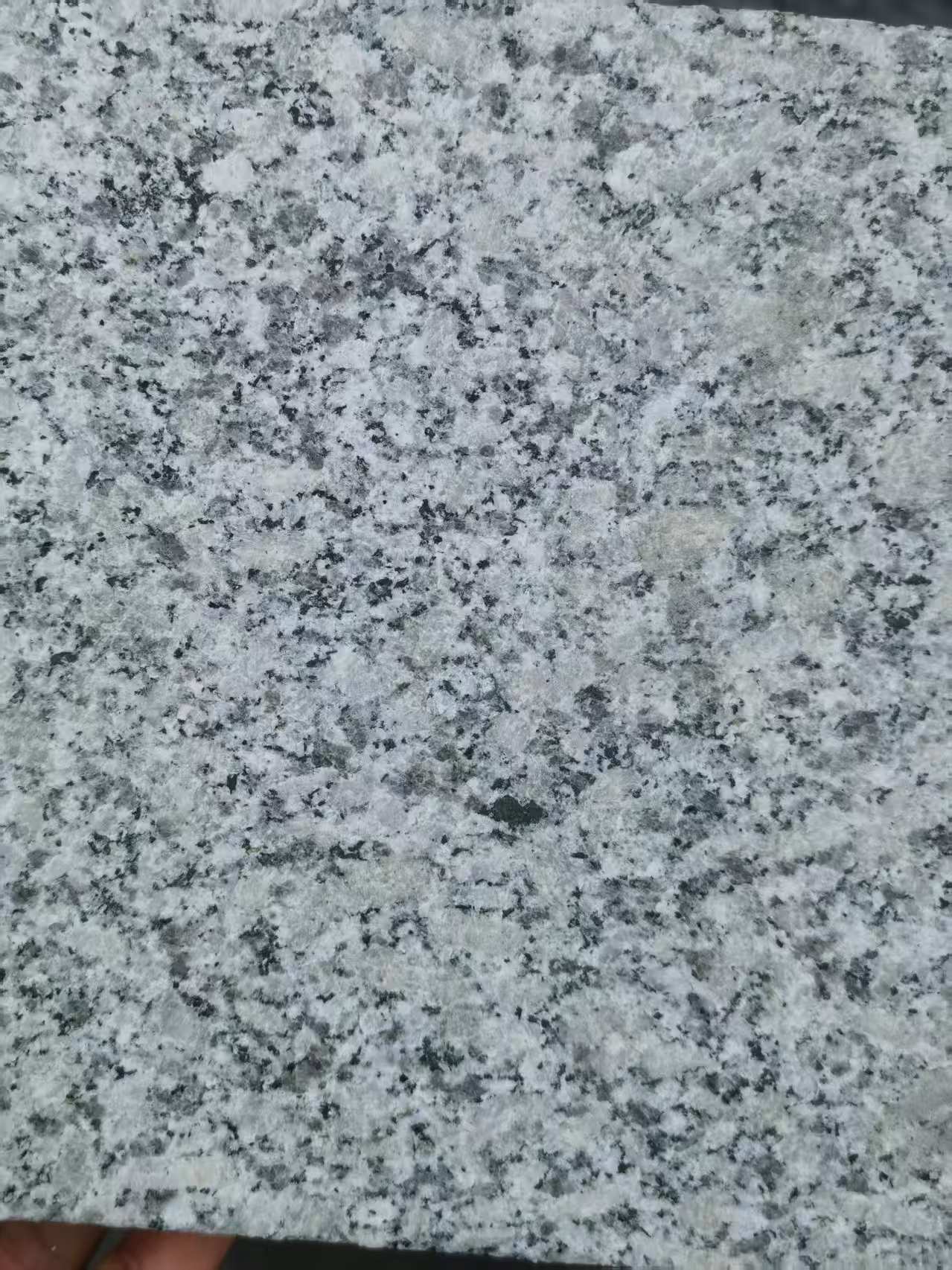 汕头 芙蓉白火烧面