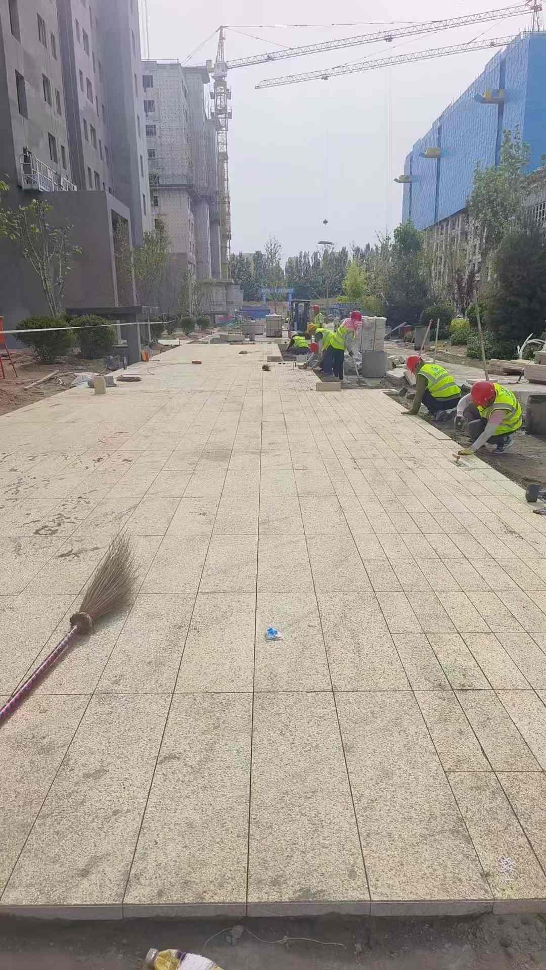 汕头黄金麻荔枝面地铺案例